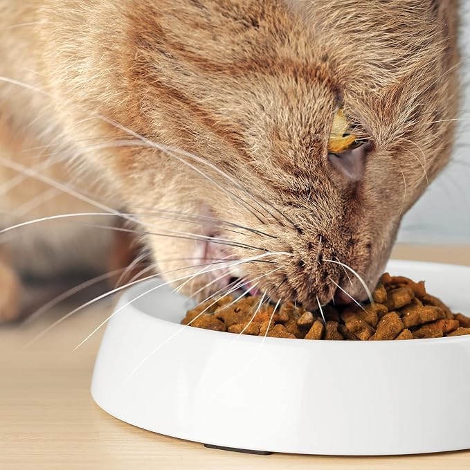 CatGuru Cat Bowls, Original Whisker-Friendly Pet Bowl for Wet & Dry Food | Wide, shallow food dish lets cats reach every bite comfortably reducing food waste. Nonslip. Dishwasher safe/ Marshmallow