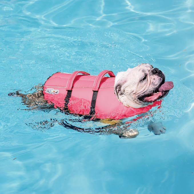 Outward Hound Granby Splash Pink Dog Life Jacket, Medium