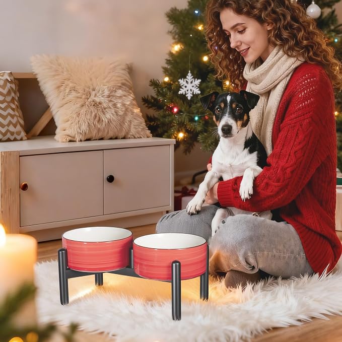 Ceramic Elevated Dog Bowl Set, 6.1''Raised Dog Food and Water Bowl Set with Non-Slip Stainless Steel Stand, Double Raised Dish for Small and Medium Breed, 3.5 Cups / 22 Fl Oz, Red