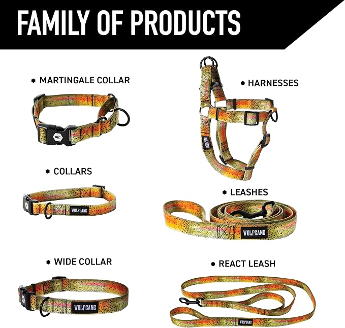Wolfgang Heavy Duty Dog Leash, Pull-Tested for Walking & Training, CutBow Print, Small