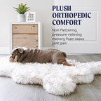 PAW Brands PupRug Orthopedic Memory Foam Dog Bed, White/Brown, 40x25 | Waterproof memory foam bed with washable cover — joint support for medium dogs