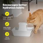 PetSafe Drinkwell Pagoda Fountain, 70 oz Ceramic, 12-Pk Filters Included | 2 Free-Falling Water Streams Encourage Hydration, Pet Water Fountain for Cats & Dogs, Includes 12 Carbon + 2 Foam Filters