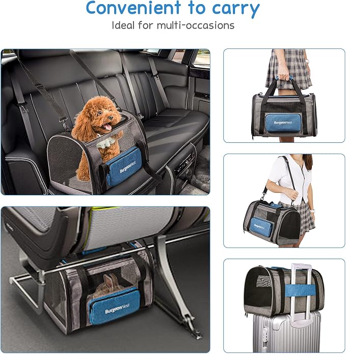 BurgeonNest Pet Carrier for Large Cats, Soft-Sided Cat Carrier for Big Cats and Small Dogs Up to 20 lbs, Top Loading Collapsible Escape-Proof Travel Cat Bag with 4 Mesh Windows & Side Storage, Blue | Soft sided cat carrier with top loading access, mesh...