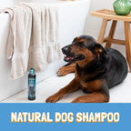 Bio-Groom Ultra-Black Dog Shampoo - Color Enhancing Pet Shampoo, Dog Bathing Supplies, Puppy Wash, Grooming Supplies, Cruelty-Free, Made in USA, Coat Brightener - 12 fl oz 1-Pack