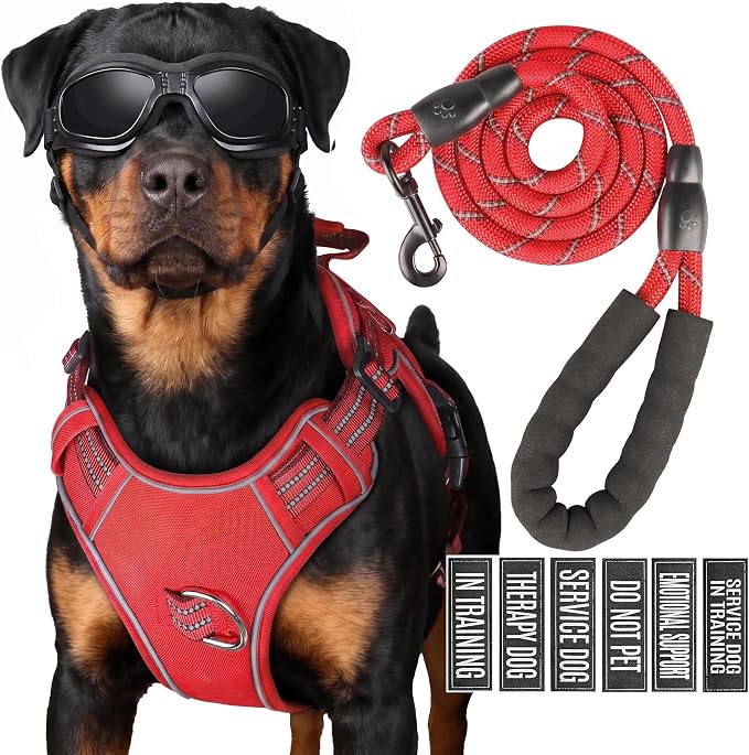 Service Dog Tactical Vest Harness and Leash Set Large Sized Dog Emotional Support- Tactical Dog Harness Training Collar with Name (Red, S)