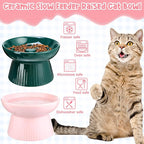 Tioncy 2 Pcs Ceramic Elevated Slow Feeder Cat Bowl, Raised Cat Slow Feeder Bowl, Anti Vomiting for Dry and Wet Food, No Spill High Edge Easy Clean Dishwasher Safe (Pink,Dark Green)