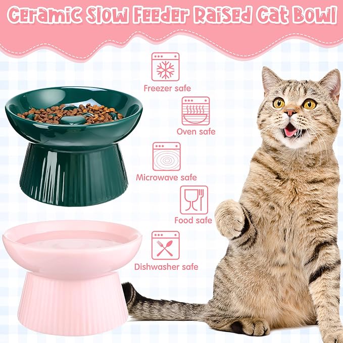 Tioncy 2 Pcs Ceramic Elevated Slow Feeder Cat Bowl, Raised Cat Slow Feeder Bowl, Anti Vomiting for Dry and Wet Food, No Spill High Edge Easy Clean Dishwasher Safe (Pink,Dark Green)