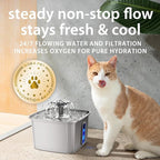 Veken Innovation Award Winner Stainless Steel Cat Water Fountain, 108oz | Automatic Pet Fountain Dog Water Dispenser with 3 Replacement Filters & Silicone Mat, Gifts for Cats, Dogs (Silver)