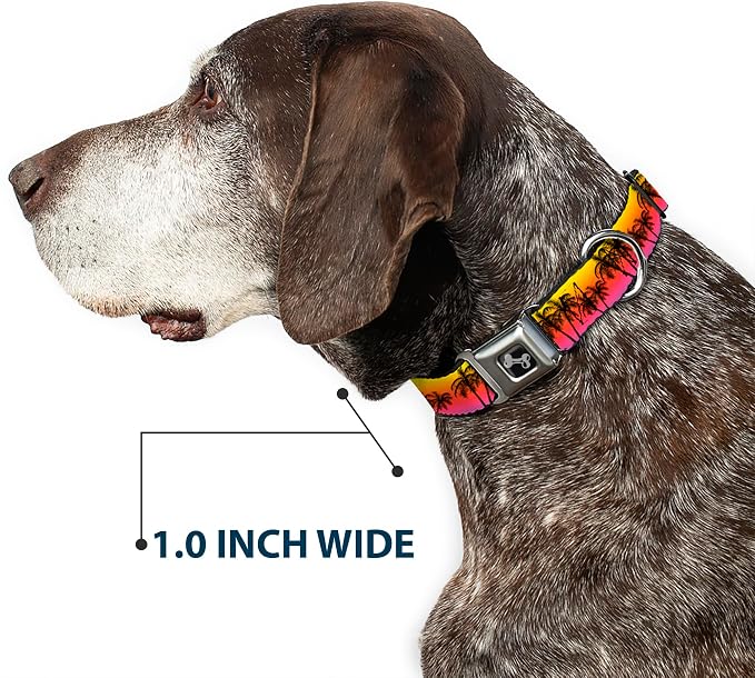 Dog Collar Seatbelt Buckle Palm Trees Sunset Fade Black 15 to 26 Inches 1.0 Inch Wide, Large, DC-W34296-L | Palm Trees Sunset Fade Black Durable Metal Adjustable ID Tag Ring