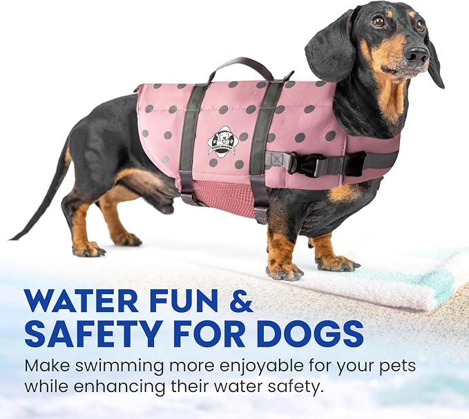 Dog Life Jacket — Premium Swim Vest with SafeChin Anti-Choke Collar | PAWS Aboard Pink | RapidLift Rescue Handle, D-Ring, Reflective Trim | Boating, Kayaking, Pool | Medium (25–50 lbs)