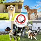 jenico Dog Tie Out Cable - 25ft Dog Lead for Yard - Heavy Duty Dog Chain with Shock Spring - Outdoor Tether Leash for Small Large Dogs Up to 500 lbs