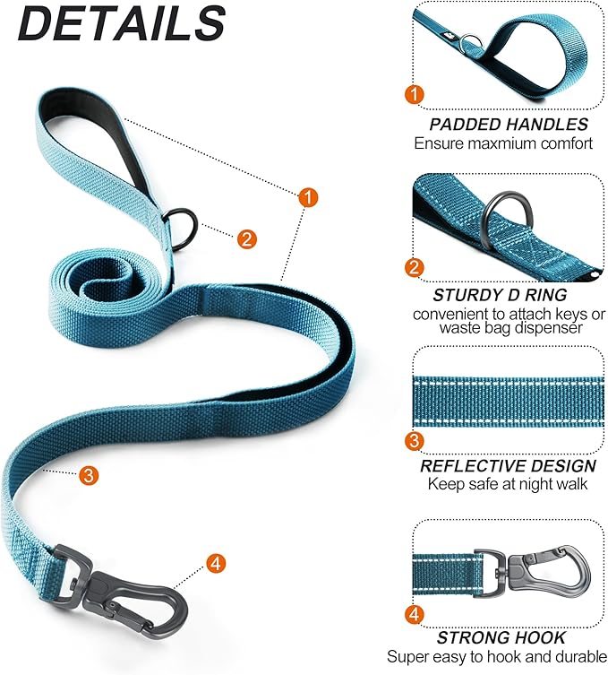 Twoear 6FT 1IN Heavy Duty Dog Leash for Large Dogs with 2 Padded Handles | Traffic Handle Extra Control, Auto Lock Hook, Strong Reflective Walking Leash for Night Safety, Medium and Large Breeds,Blue
