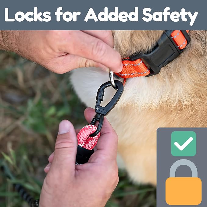 6 Foot Dog Leash, Two Extra Padded Handles, Locking Carabiner Clip, Reflective for Night Visibility, Weatherproof, Heavy Duty Rope Leash, Roam Gear (Pink)