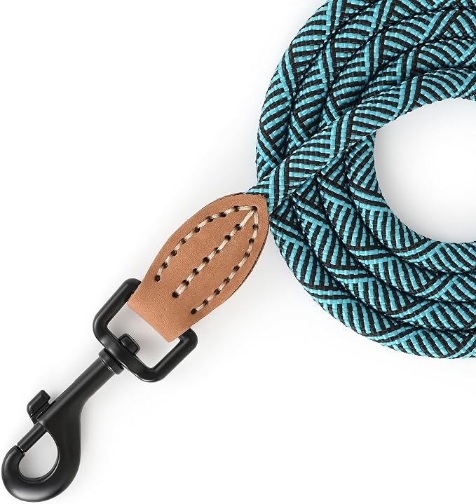 Mile High Life Thin Small Dog Leash with Genuine Leather Connection | Rope Leash, Heavy Duty 360° Swivel Metal Clasp, for Small Medium & Large Dogs (Green, 48 Inch)