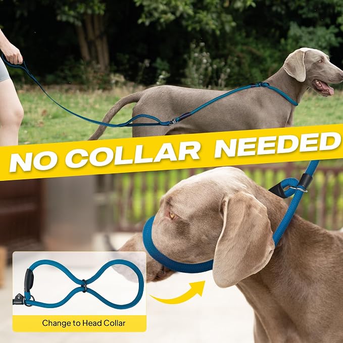 Fida 2-in-1 Slip Lead Dog Leash with 2 Handles, 6FT Training Leash, Blue | No Collar Needed, Tangle Free, Soft Padded Handles, Traffic Control,Reflective Heavy Duty No Pull Leash for Medium-Large Dogs