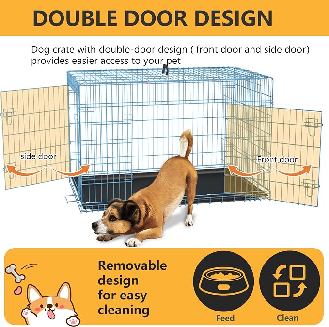 FDW Dog Crate for Medium Dogs 36 Inch Folding Metal WirePet Cage Double Door W/Divider Panel Indoor Outdoor Kennel Leak-Proof Plastic Tray,Blue