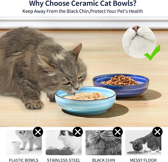 Selamica Ceramic Cat Food Bowl, 5.6 Inch Wide Shallow Cat Bowls/Dishes for Food and Water, Whisker Friendly, Set of 6, Gradient Blue