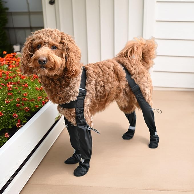 Waterproof Dog Suspender Boots with AirTag Compatible Pocket, Anti-Slip Reflective Dog Shoes, Adjustable Stay-On Paw Protector for Small Medium Large Dogs, Outdoor Walking Rain Snow (Black, S)