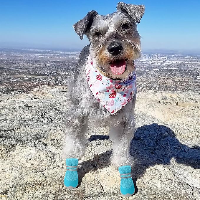 QUMY Dog Shoes for Small Dogs Hot Pavement Puppy Dog Boots & Paw Protectors | Small Medium Dog Summer Shoes, Soft Anti-Slip Rubber Sole, Mesh Breathable Dog Booties for Hardfloors, Walking Running Blue