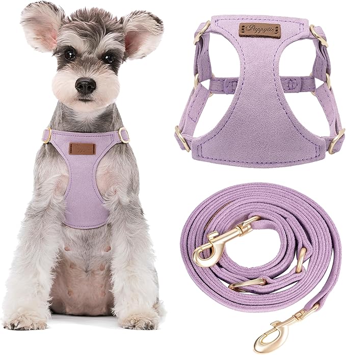 Puppytie Dog Harness and Leash Set, Light Purple, M (16.5-31 lbs) | Harness Small Size Dog, Dog Leash for Small Dogs, Soft Lightweight and Adjustable, Small Dog Harness for Daily Walks