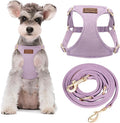 Puppytie Dog Harness and Leash Set, Light Purple, M (16.5-31 lbs) | Harness Small Size Dog, Dog Leash for Small Dogs, Soft Lightweight and Adjustable, Small Dog Harness for Daily Walks