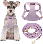 Puppytie Dog Harness and Leash Set, Light Purple, M (16.5-31 lbs) | Harness Small Size Dog, Dog Leash for Small Dogs, Soft Lightweight and Adjustable, Small Dog Harness for Daily Walks