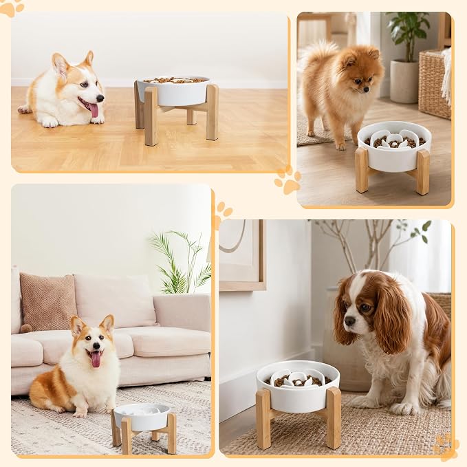 Elevated Slow Feeder Dog Bowl, 6.7" Ceramic Maze Dog Bowl with Stand | 1.5 Cups Slow Feeding Dog Dish for Fast Eaters, 5" Tall Anti-Slip Raised Slow Feeder for Small and Medium Breeds, White