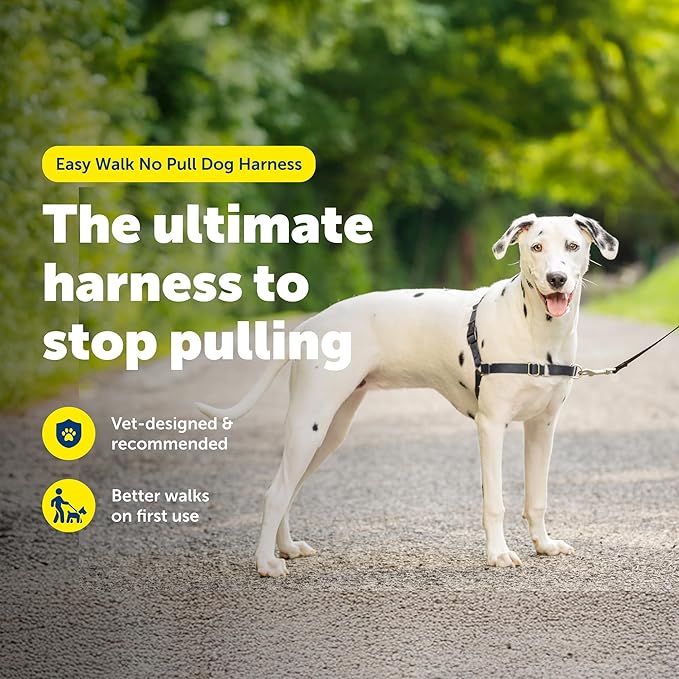 PetSafe Easy Walk Harness, No Pull Dog Harness, Medium/Large Charcoal Gray
