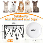 Elevated Ceramic Cat Bowls – Whisker-Friendly & Anti-Vomiting, Non-Slip Raised Cat Food Dishes – Stylish, Safe & Hygienic Feeding Set (2-Pack)