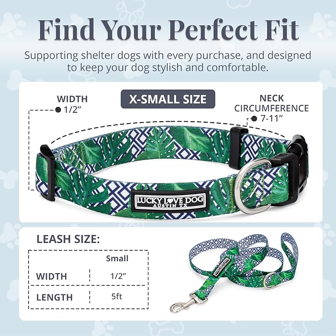 Lucky Love Dog Collar and Leash Set, Beautiful & Vivid Patterns, Easy On & Off Clasp Accessory (Blue Laguna, XS Combo)