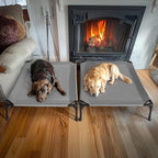 Veehoo 2 Pack Outdoor Elevated Dog Bed for Large Dogs, Cooling Raised Cots | Off-ground training platform, portable camping hammock, breathable mesh, easy to clean, no-tool setup, 42"x30", Gray