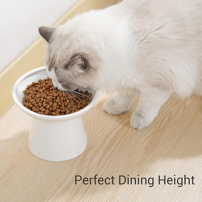 CEEFU 2-Pack Extra Wide Elevated Ceramic 6.2" Shallow Cat Food Bowls | Cat Dish for Whisker Fatigue Relief, 5" Height for Easy Feeding, Durable Raised, White