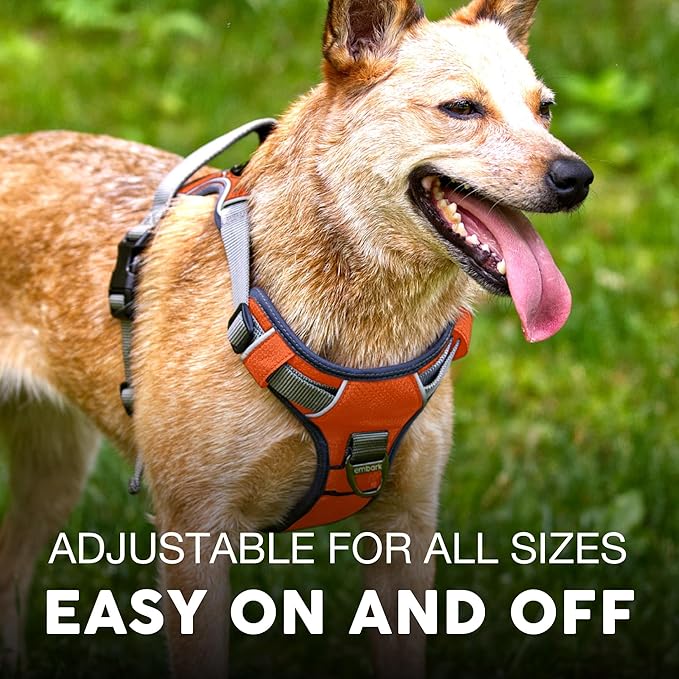 Embark Adventure No-Pull XL Dog Harness for Extra Large Dogs – Reflective Trim, Military-Grade Nylon, Dual Leash Clips, Gel-Lined Handle