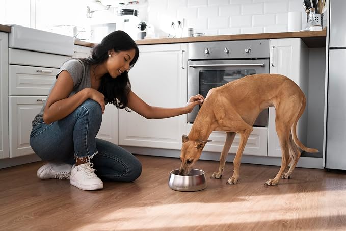 Sipworks Stainless Steel Dog Bowl – 32oz Weighted Metal Food and Water Bowls for Dogs and Cats with Non-Slip Base - Pet Bowls for All Breeds Sizes for Travel & Outdoor Play | Sky Blue