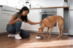 Sipworks Stainless Steel Pet Water Bowl for Cats & Dogs | Reusable Stainless Steel Insulated Food Bowls for Cat Dog | No Slip No Tip No Spill BPA Free | 32oz | Mahogany