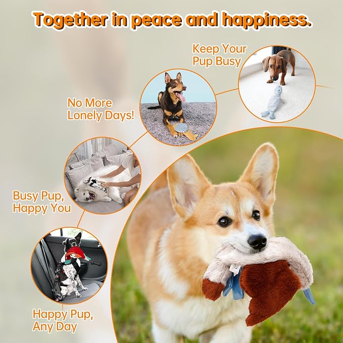 Nocciola Squeaky Dog Toys, 5-Pack Crinkle Plush Toys, No Stuffing Dog Toys for Small Medium Large Dogs, Boredom Relief