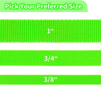HIKISS Long Dog Leash Obedience Recall Training Agility Lead with Thickening Material for Large Dog - 15ft 20ft 30ft 50ft 100ft Training Leash(Green 100ft)