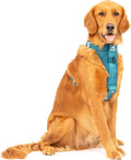 Kurgo Ink Blue Large Dog Harness - Crash Tested, All-Steel, Comfortable & Adjustable Animal Harness with Seat Belt Tether for Car Safety