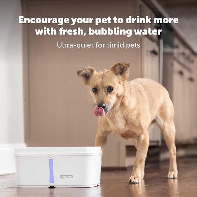 PetSafe Viva Pet Fountain, Cats & Small Dogs, Plastic Tray, 140 oz | Food-Grade Plastic, Ultra-Quiet Pump, Dishwasher Safe, Double Filtration, Filters Included