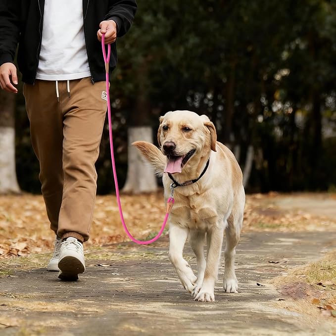 Mile High Life Dog Leash with Genuine Leather Connection, 4/5/6 FT | Rope Leash, Heavy Duty 360° Swivel Metal Clasp, for Small Medium & Large Dogs (Bright Pink, 60 Inch)