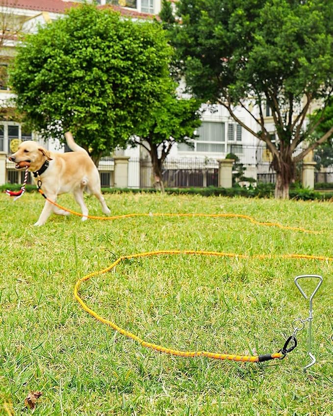 Joytale Long Dog Leash for Yard Tie Out & Recall Training, Orange, 30FT | Secure Locking Carabiner, Removable Padded Handle, Reflective Webbing for Night Safety, Ideal for Outdoor Play and Camping