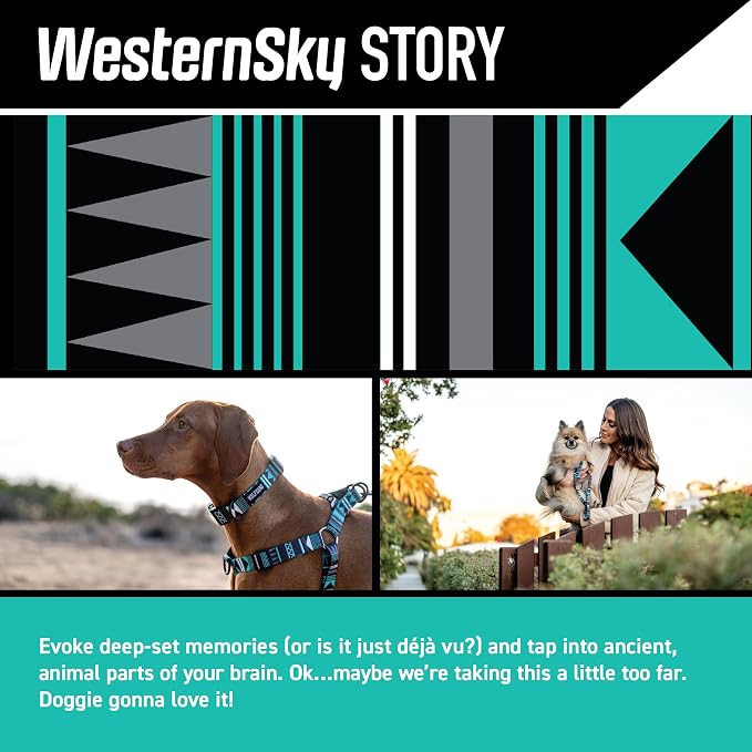 Wolfgang Heavy Duty Dog Leash, Pull-Tested for Walking & Training, Westernsky, Small