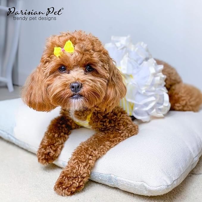 Parisian Pet Ballerina Dog Dress - Summer Clothes for Large Dogs - Comfortable Striped Yellow Pet Dress - Dog Wedding Outfit - Lightweight Puppy Clothes Girl - Designer Dresses for Dogs
