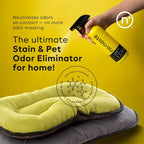 Nonaste Pet Stain & Odor Eliminator Enzyme Spray, Dog & Cat, 16 oz, Pk 1 | Enzyme Cleaner Breaks Down Dog & Cat Urine, Stains & Odor on Carpets & Upholstery. Pet & Kid Safe. Light Fresh Scent.