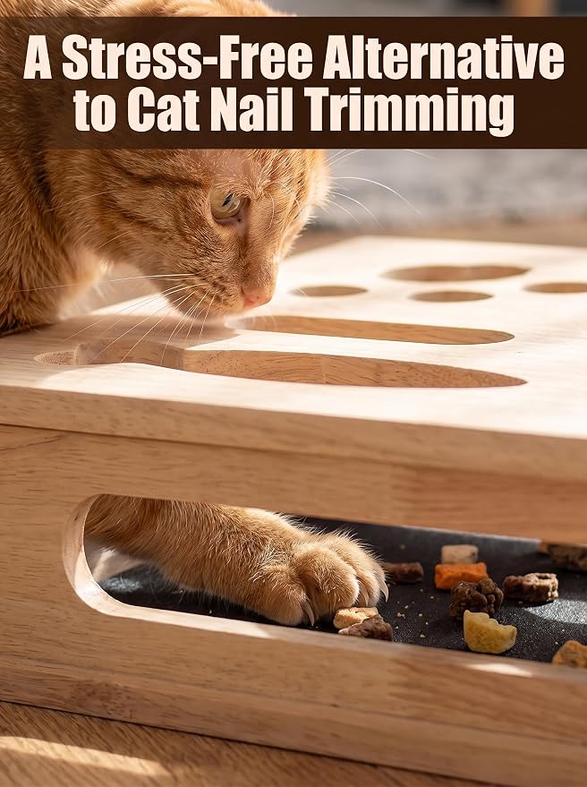 Cat Scratch Puzzle Enrichment Box, Wooden Interactive Toy for Indoor Cat | Cat Nail File Scratcher Box,Feather Wands & 3 Bell Balls, Claw Saver Box with 2 Sandpaper Nail Trim for Cats Kitten