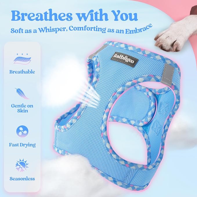 rabbitgoo Dog Harness Small Sized and Leash Set, Step-in Puppy Pet Vest | Light, Soft, Breathable Air Mesh, Easy on and Remove with Hook & Loop, Secure Reflective for Walking, Blue & Plaid Trim XS