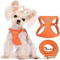 Puppytie XS Dog Harness and Leash Set, Orange, XS (4.5-11 lbs) | Extra Small Dog Harness, Puppy Harness and Leash, Soft Lightweight and Adjustable, Xsmall Dog Harness for Daily Walks