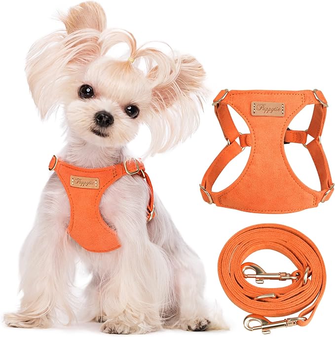 Puppytie XS Dog Harness and Leash Set, Orange, XS (4.5-11 lbs) | Extra Small Dog Harness, Puppy Harness and Leash, Soft Lightweight and Adjustable, Xsmall Dog Harness for Daily Walks