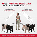 Tuff Pupper Heavy Duty Hands Free Dog Leash | Two Small/Medium Dogs Up to 90 lbs | Comfortable Shock Absorbing Bungee | Reflective Padded Handles | Lumbar Waist Belt 28-50" | Jogging Running Leash