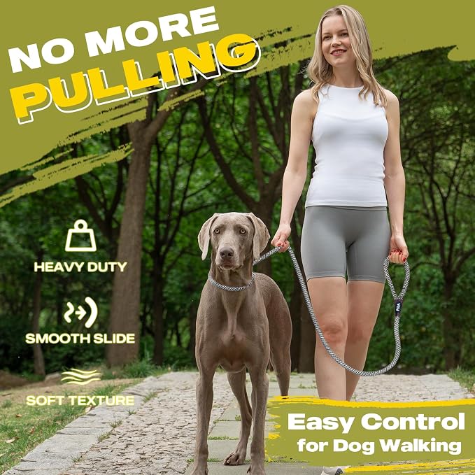 Fida Durable Slip Lead Dog Leash Bulk Pack of 5, Heavy Duty 1/2" x 6 FT Comfortable Strong Rope Slip Lead for Large, Medium & Small Dogs No Pulling Pet Training Leash with Highly Reflective (Grey)